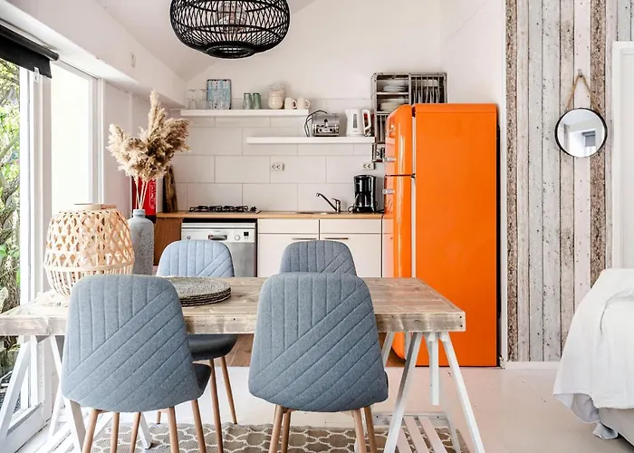 Hippie * 잔드보르트