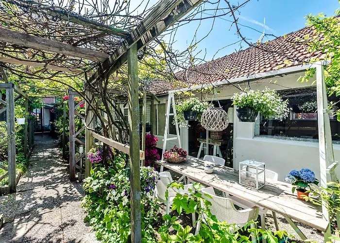 Hippie 잔드보르트