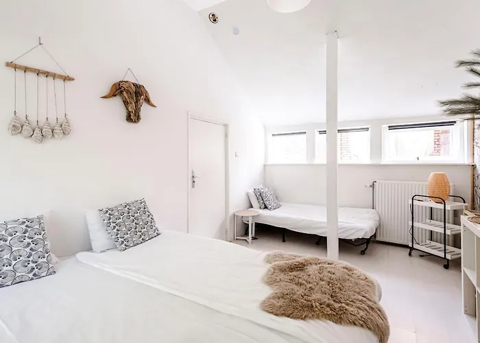 Hippie * 잔드보르트