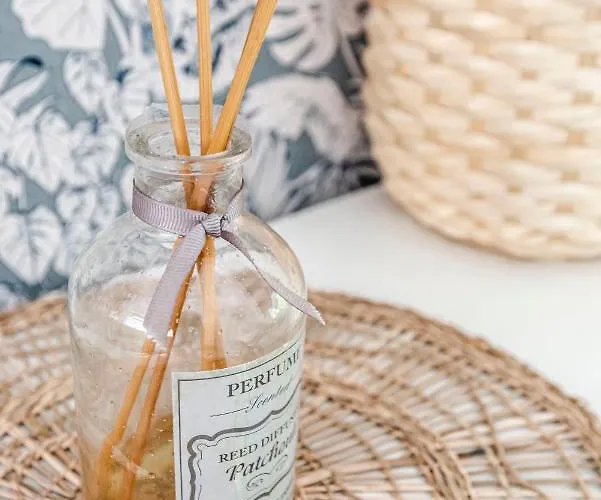 Apartament Hippie Zandvoort